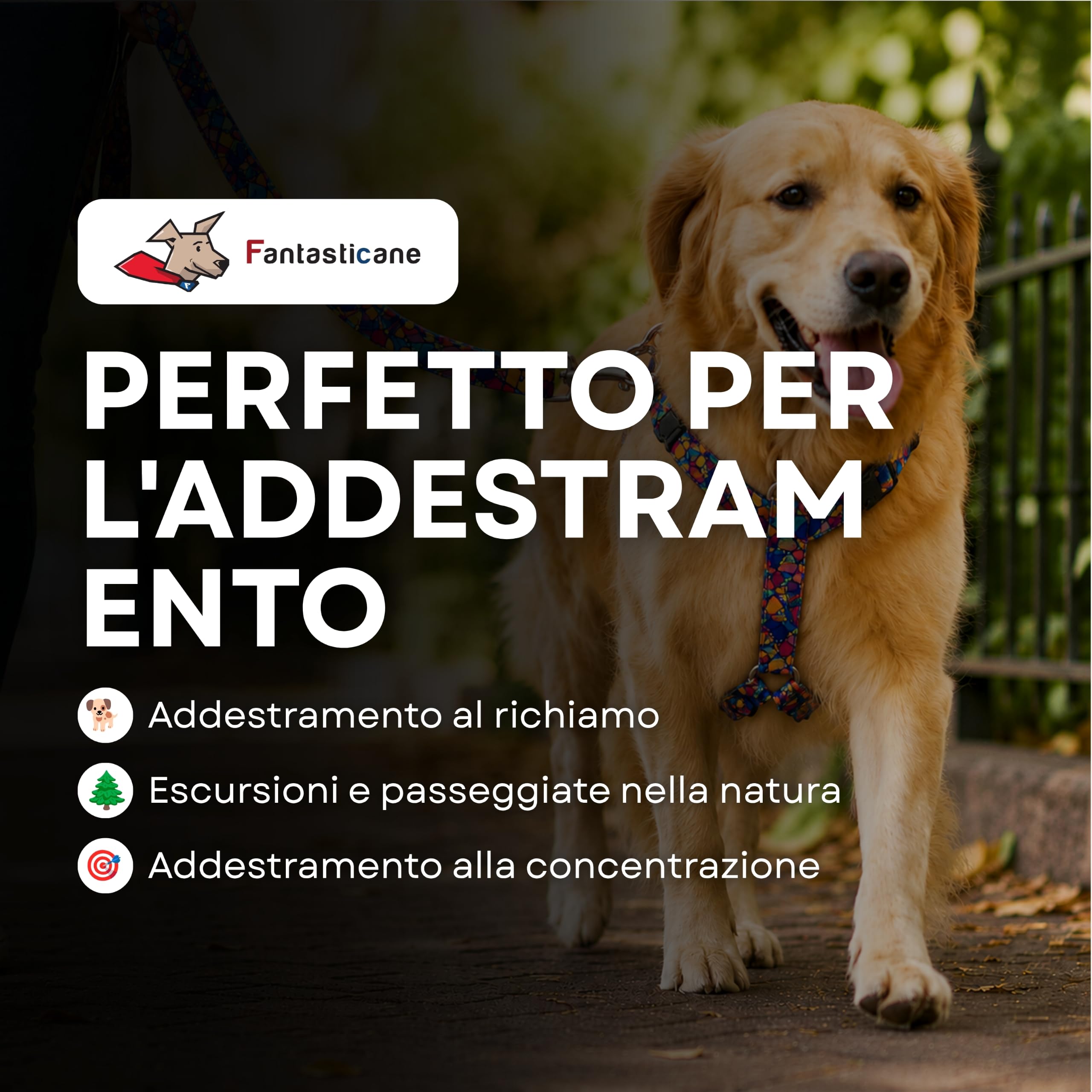 Wonderleash Guinzaglio per Cani Wonderleash 3 in 1, Linea Lunga Robusta, Guinzaglio da Addestramento con Collare di Emergenza, Manico Confortevole, Adatto a Cani Piccoli (Multicolore, M)