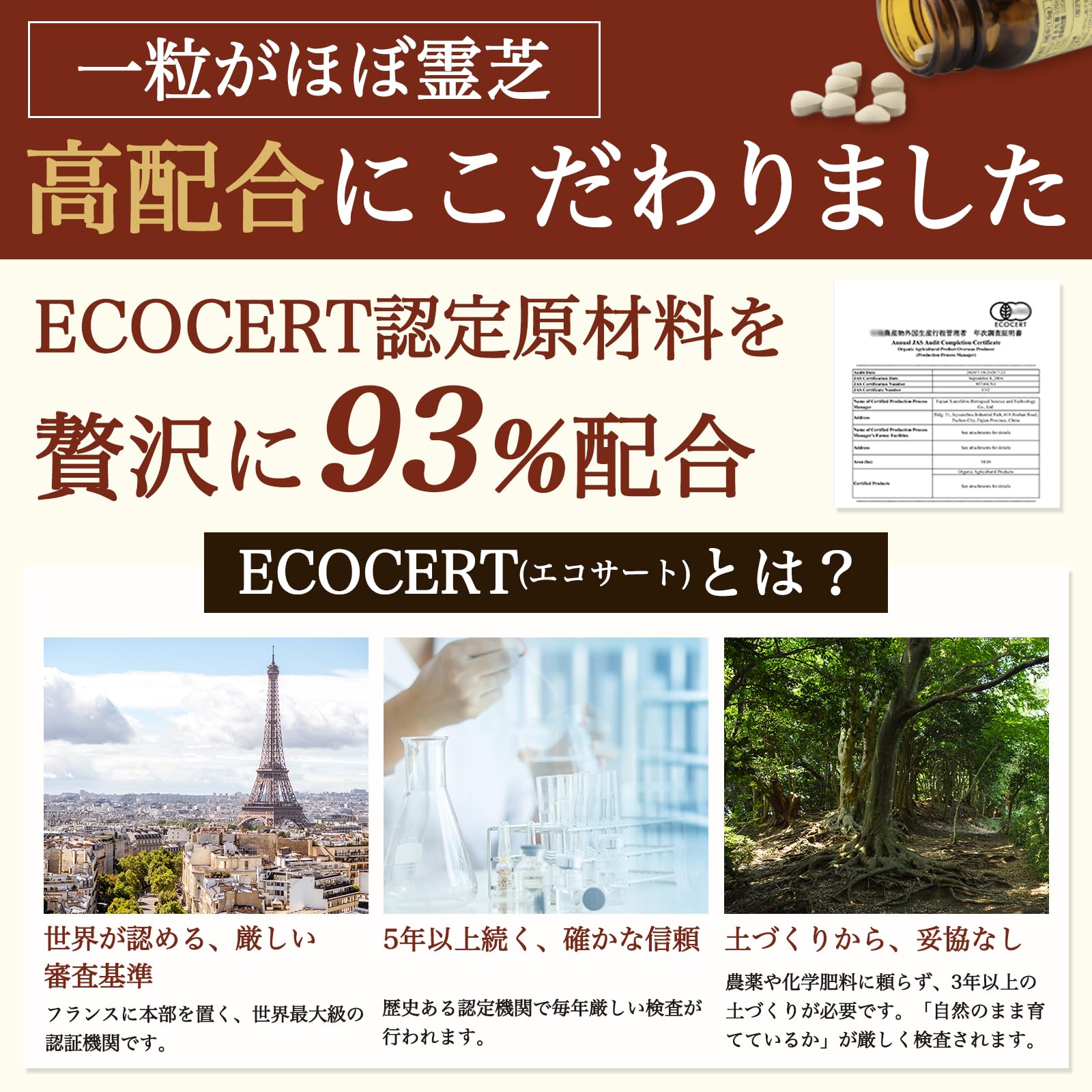 Amazon | 日本ケミスト 霊芝（れいし）リニューアル版 100粒 原材料93