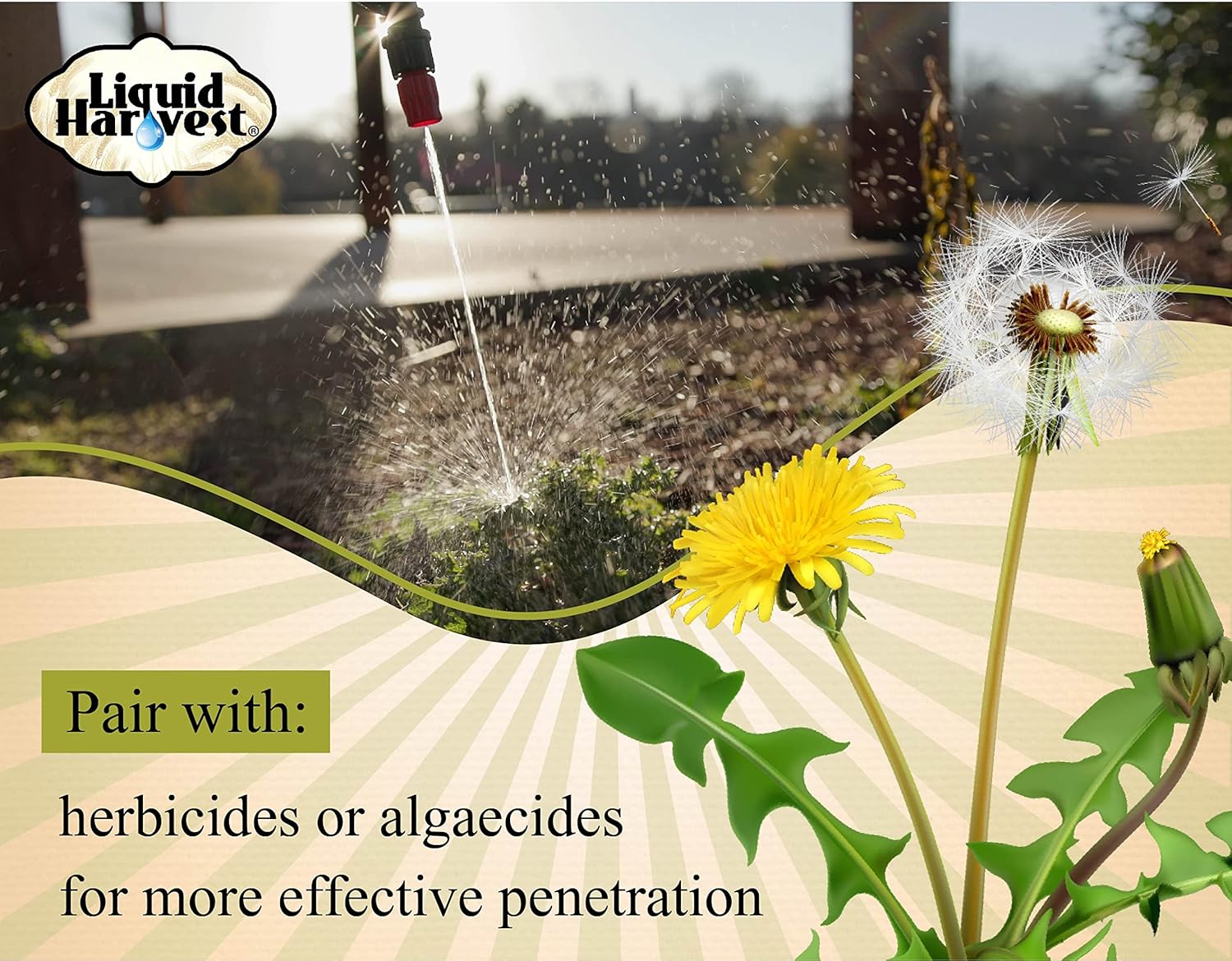 Liquid Harvest Mesotrione Bundle - 8 Ounces - Mesotrione Concentrate (Compare to Tenacity) - Pre and Post-Emergent Weed Killer for Lawn and Turf Grasses with 8oz Surfactant