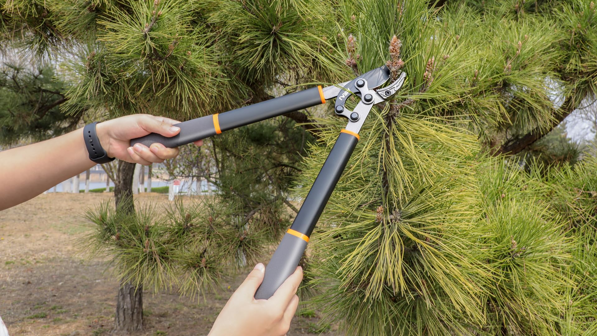 Tijeras de Podar AIRAJ,Tijeras Podar de Yunqu,43CM Tijera Podar,Máxima Longitud de Corte 3CM,Corta Ramas Gruesas sin Esfuerzo,Cuchilla Desmontable de Acero SK5,Ideal Para Trabajos de Jardinería