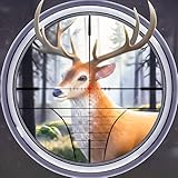 Wild Animal Hunting Jungle Shooting Game 3D