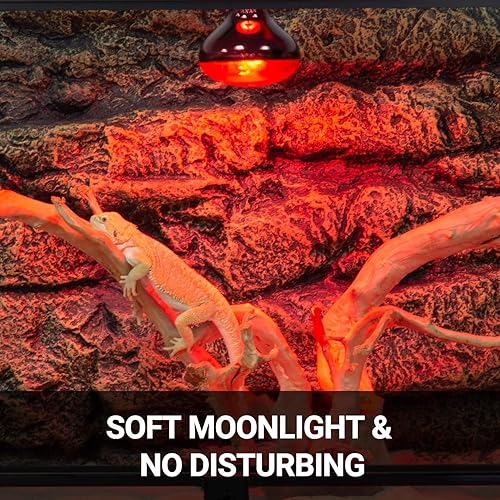 Miniatura 3 de REPTI ZOO - Paquete de 2 lámparas de calor infrarrojo, emisor de calor de 100W para reptiles, lámpara de punto de sol infrarroja roja, lámpara
