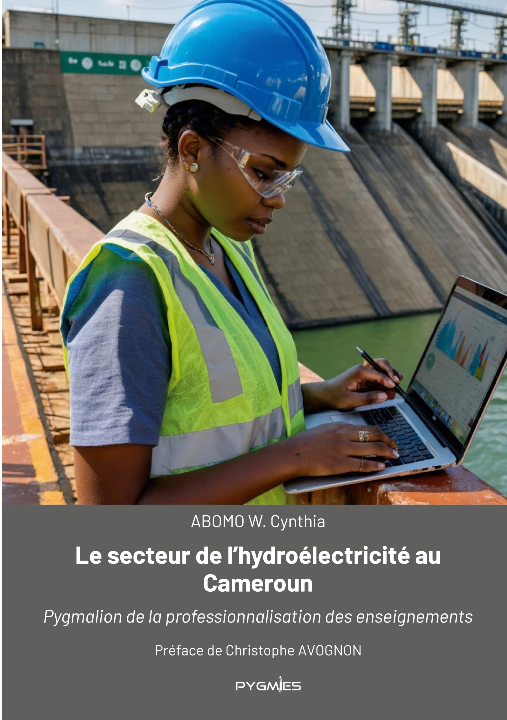 Le secteur de l'hydroélectricité au Cameroun: Pygmalion de la professionnalisation des enseignements
