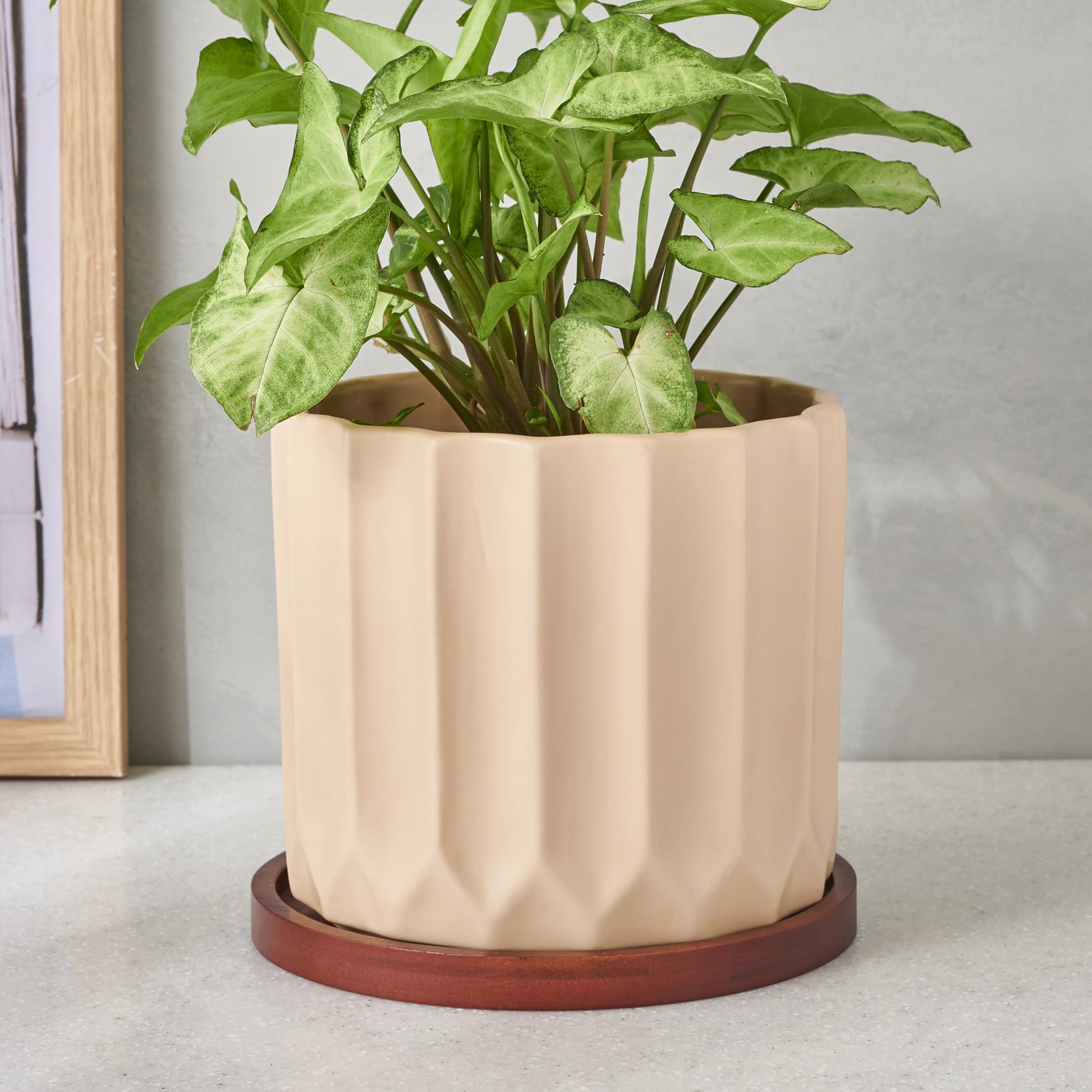 See full amazon price history chart for Home Centre Gloria Ceramic Planter with Wooden Stand Home Centre Gloria Ceramic Planter with Wooden Stand (B0CBK9MJY5) Amazon Price History, Amazon Price Tracker