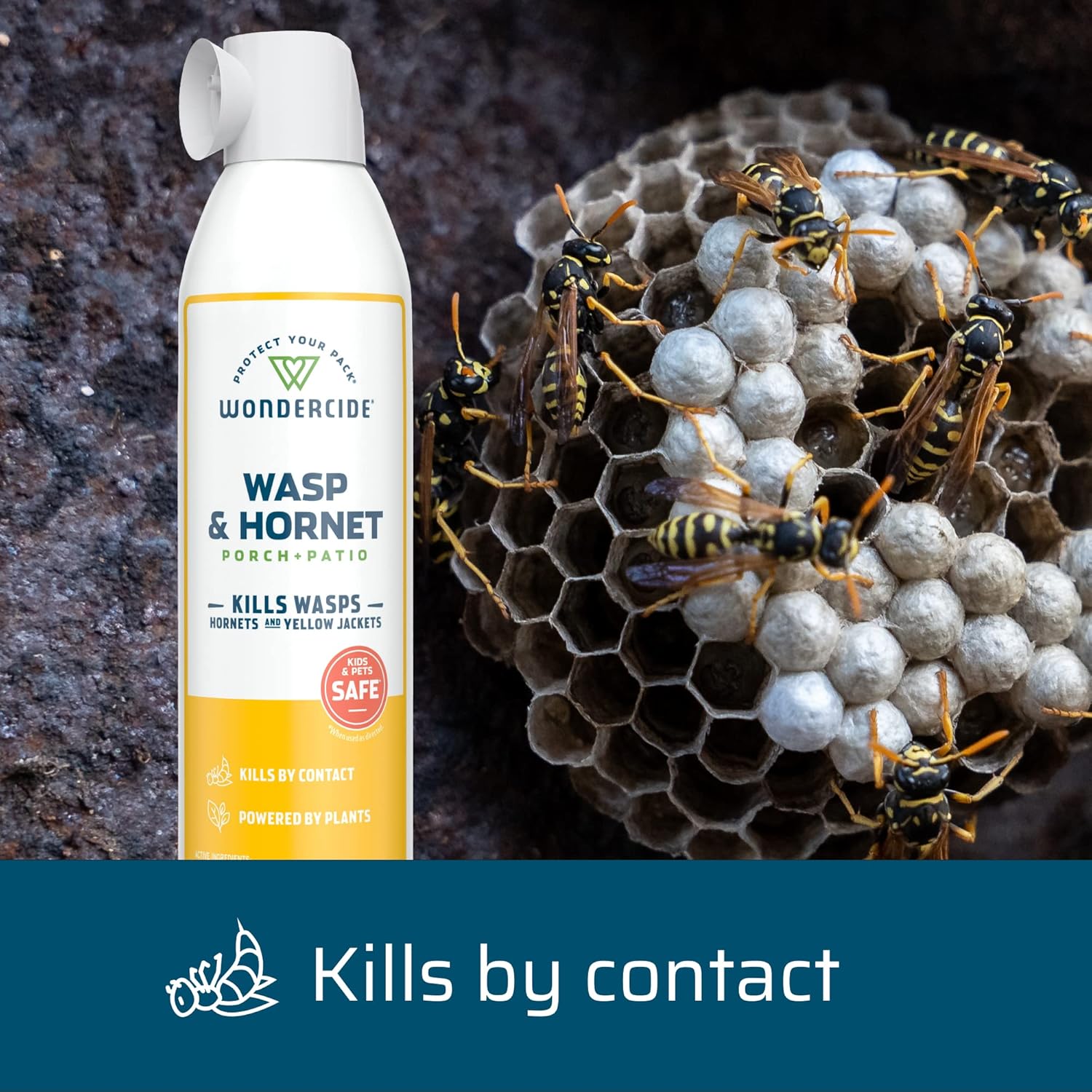 Buy Wondercide Wasp and Killer Aerosol Spray with Natural