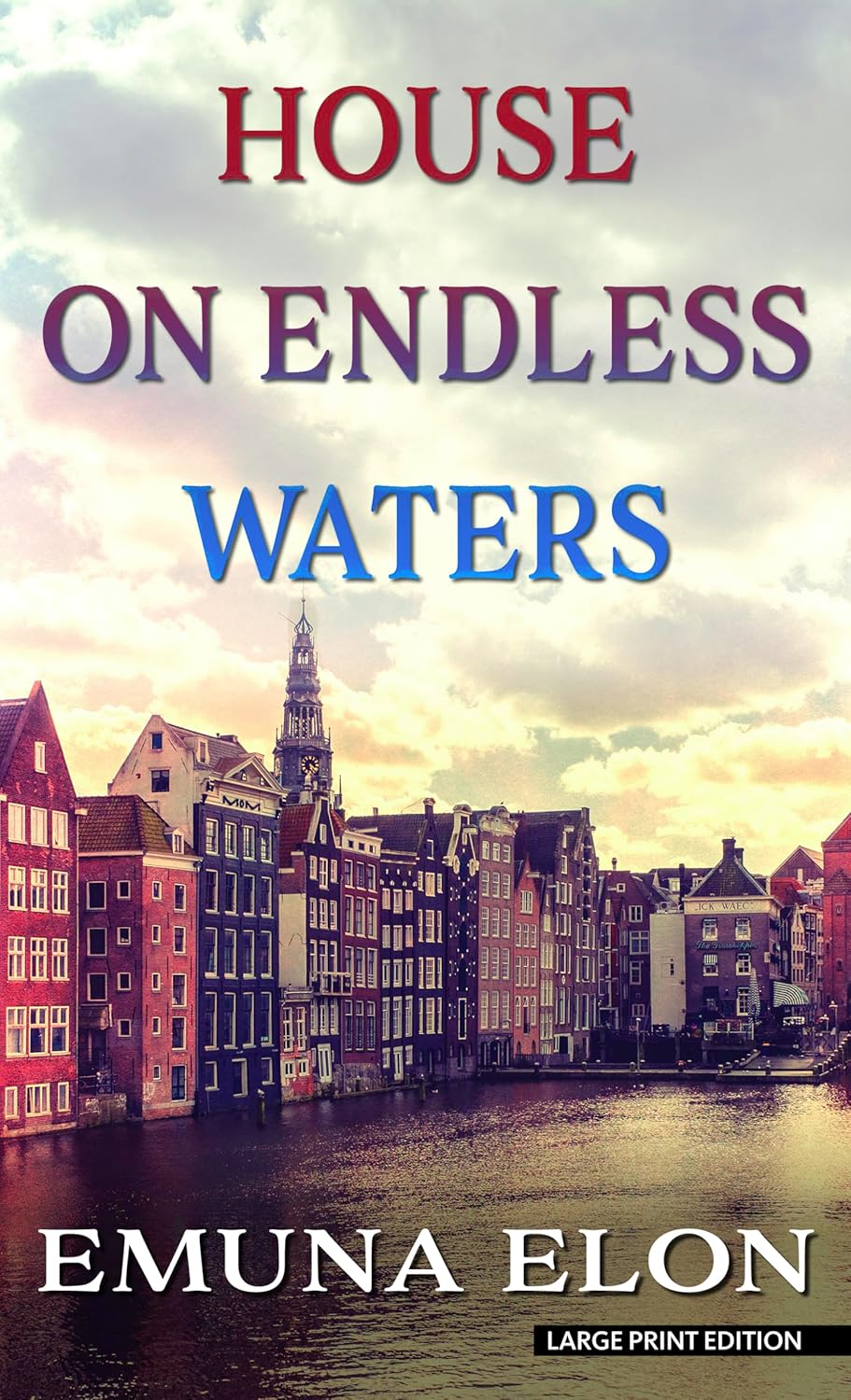 House on Endless Waters (Thorndike Press Large Print Basic