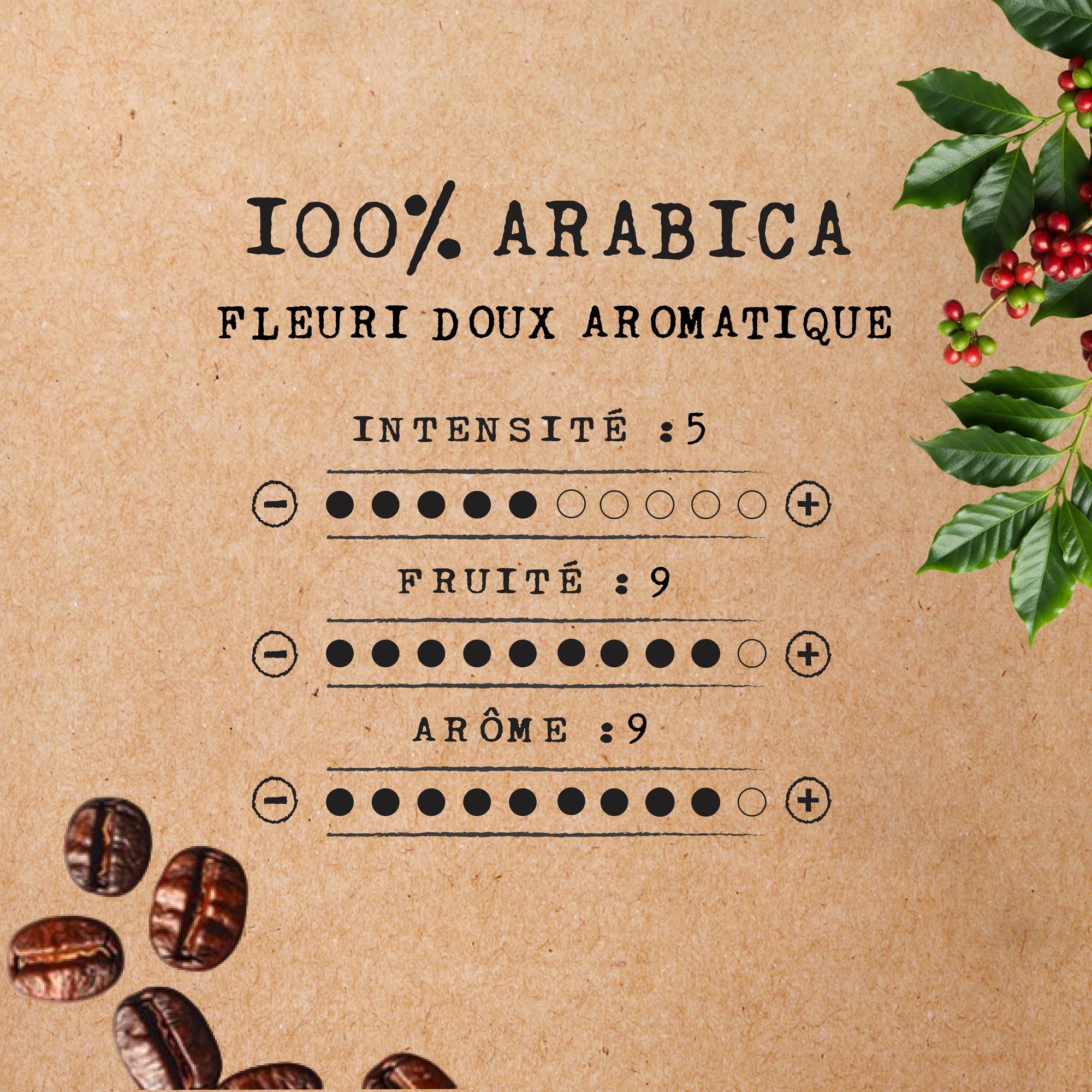 Cafés Méo - Café en Grains Moka d'Ethiopie Pur Arabica - 3 kg - Intensité 5/10 - Arômes Authentiques, Suave, Fruité et Floral - Lot de 6 x 500 gr