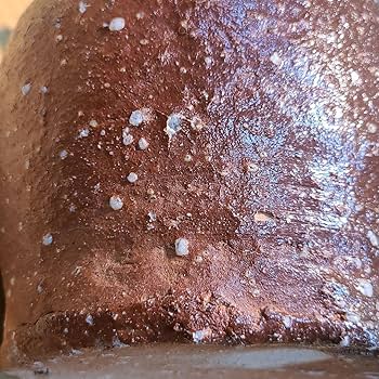 Amazon.co.jp: 信楽焼 小川清峰作 壷 高さ6.5寸（約20cm） 箱なし 本物