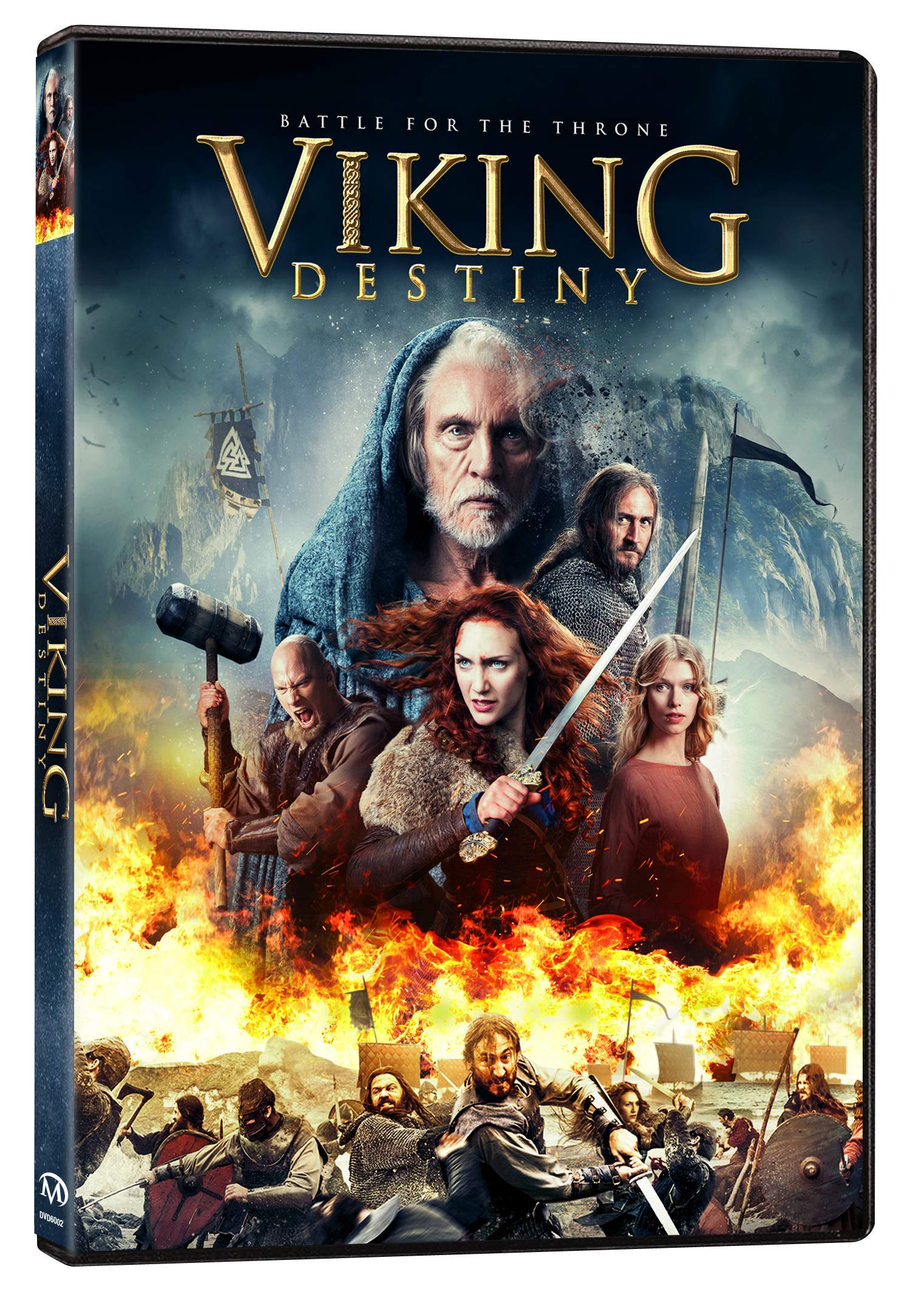 Viking Destiny [DVD]