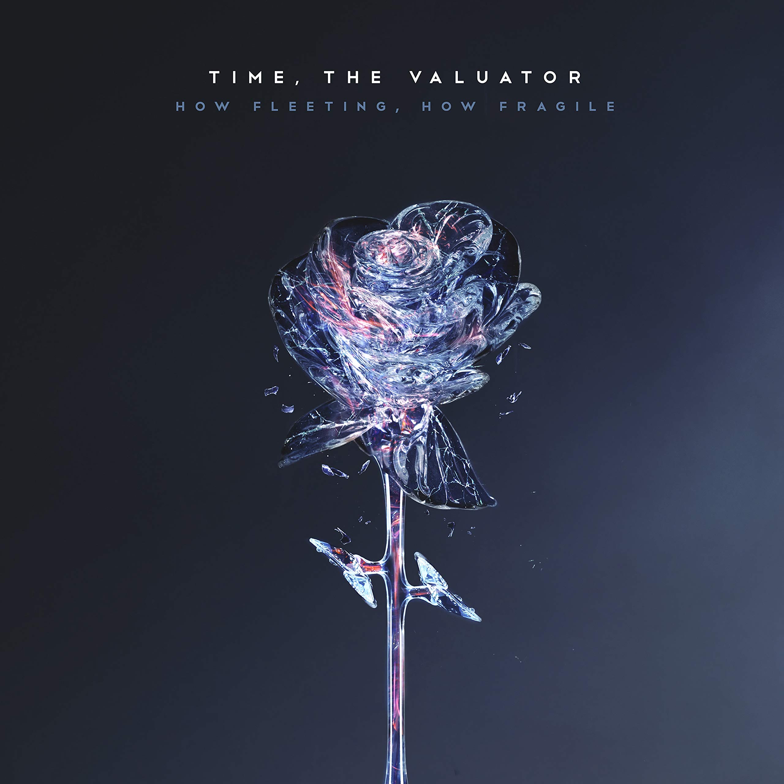 How Fleeting How Fragile [Audio CD] TIME THE VALUATOR