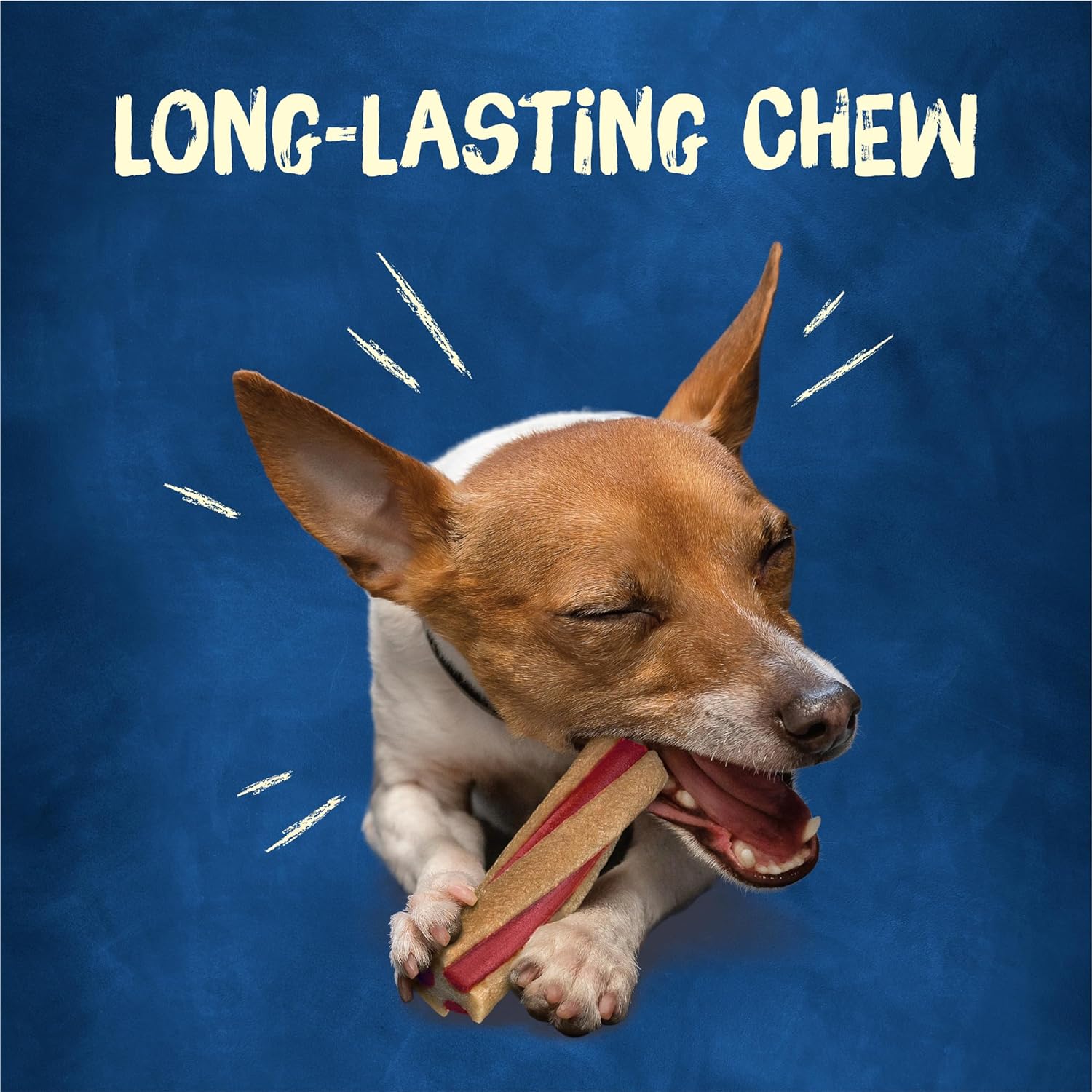 Purina Busy with Beggin’ Twist’d Tiny Adult Dog Chew Bone Treats - (Pack of 6) 10 Ct. Pouches