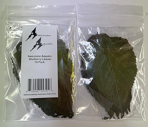 Miniatura 5 de Awesome Aquatic Hojas de camarón de morera, alimento botánico natural, alimento orgánico, pescado de acuario, terrario de camarones, alto contenido