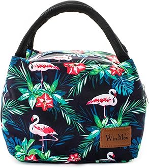 Lunch Cooler Bag, Small Insulated Lunch Box Bags, Portable and Reusable Lunch Bag for Women (Flamingo)