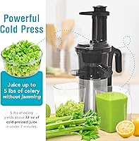 Vista 2 de Shine Kitchen Co SJV-107-A - Exprimidor de masticación lenta de acero inoxidable