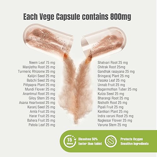 Miniatura 2 de Cápsulas limpiadoras de sangre – Suplemento herbal ayurvédico – Apoyo para purificador de sangre, picazón de la piel, erupciones, pigmentación,