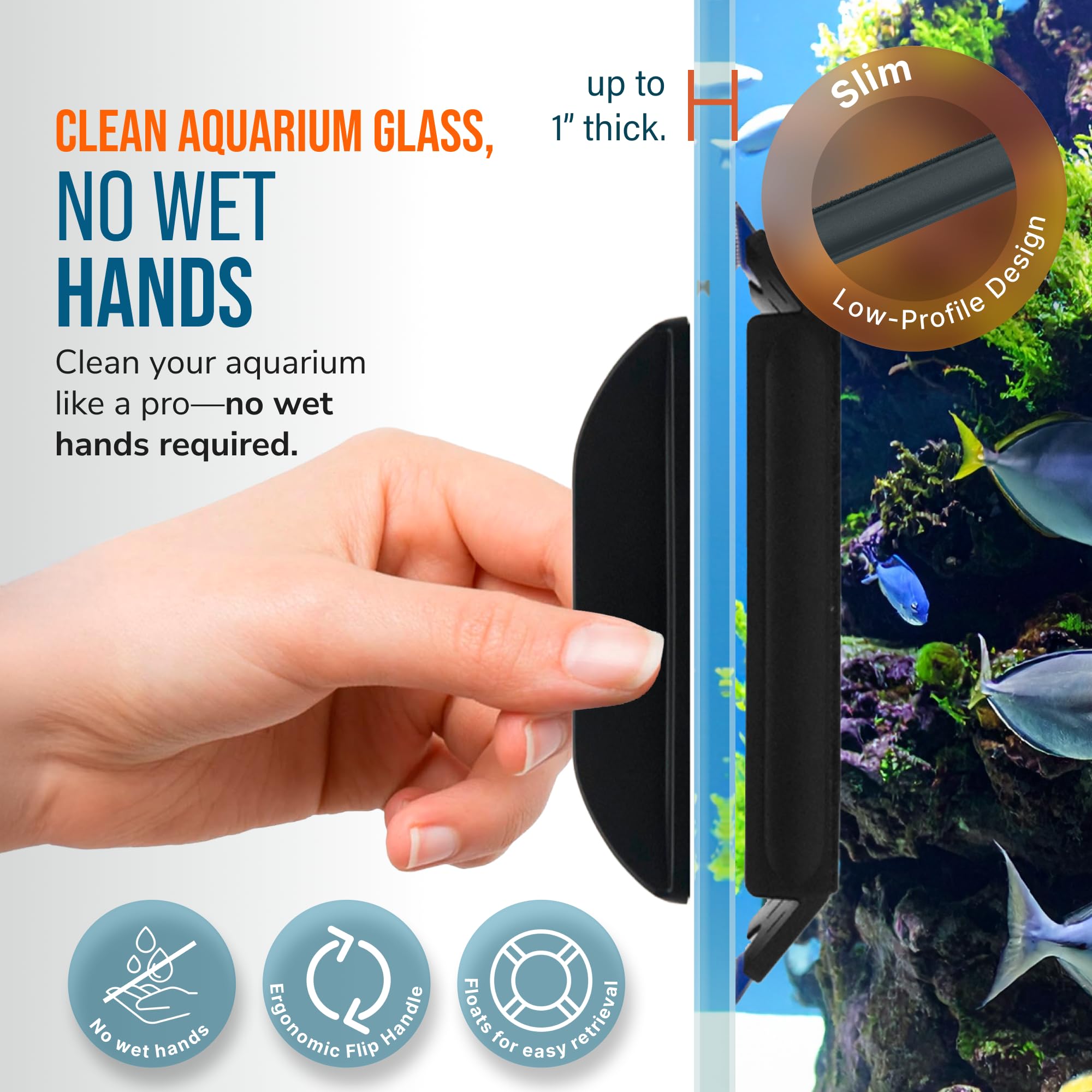 Amazon.co.jp: FL!PPER Flipper Edge Max Clownfish 限定版
