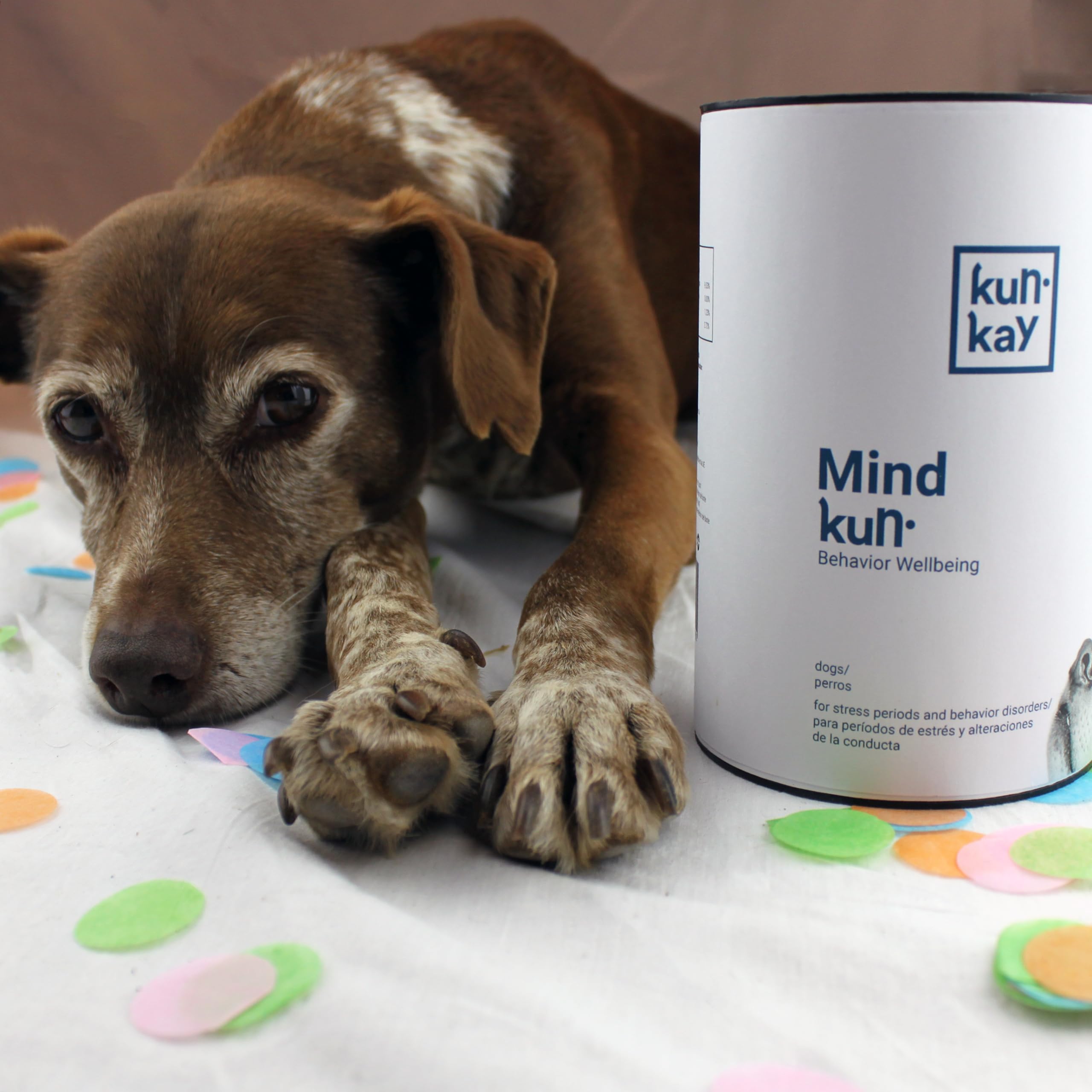 Mindkun - Suplemento Natural en Polvo Calmante para Perros 270 g | Antiestrés, Con Triptófano, Con Vitaminas B, Relajante sin Sedación