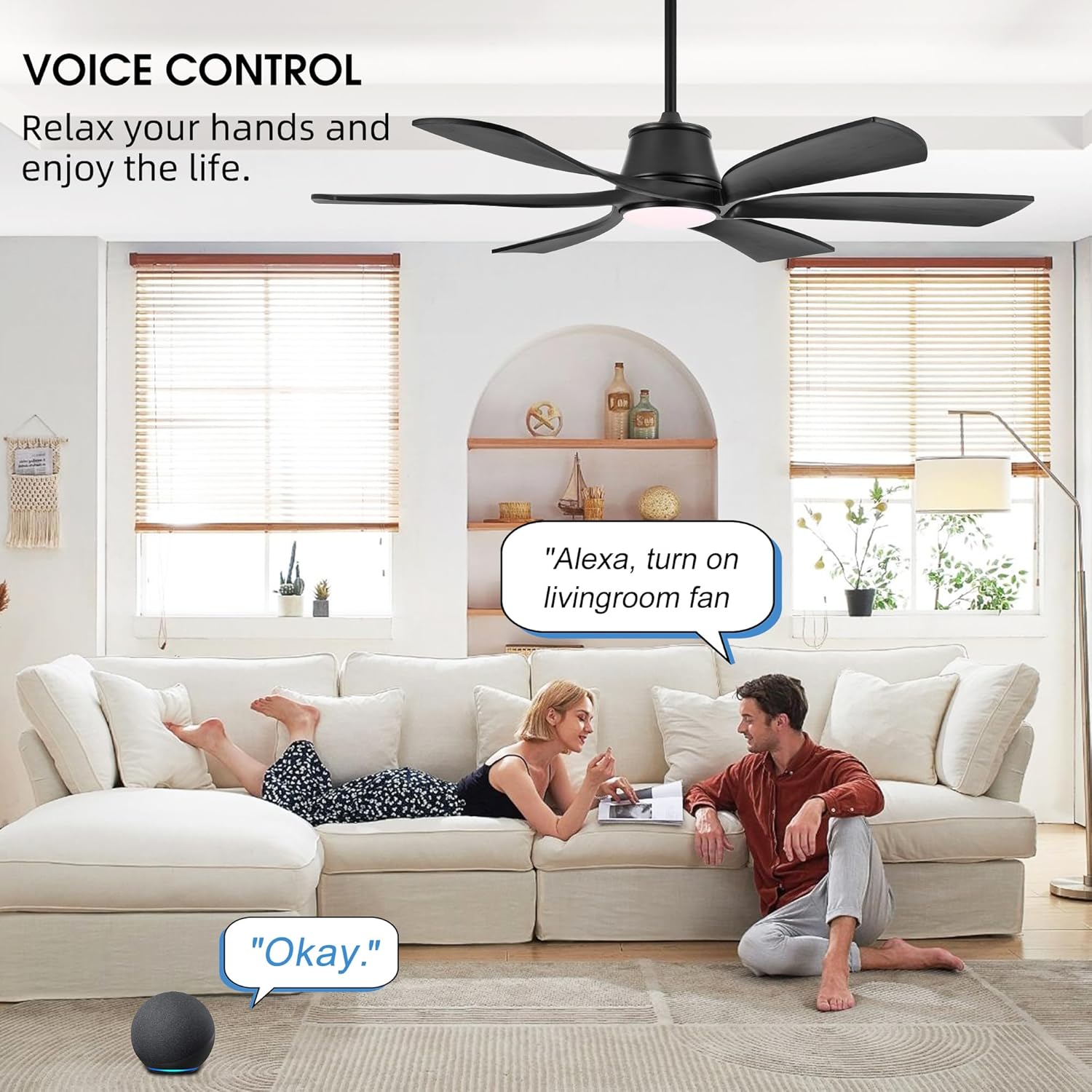 https://m.media-amazon.com/images/I/81ZdD7KtXwL._AC_SL1500_.jpg