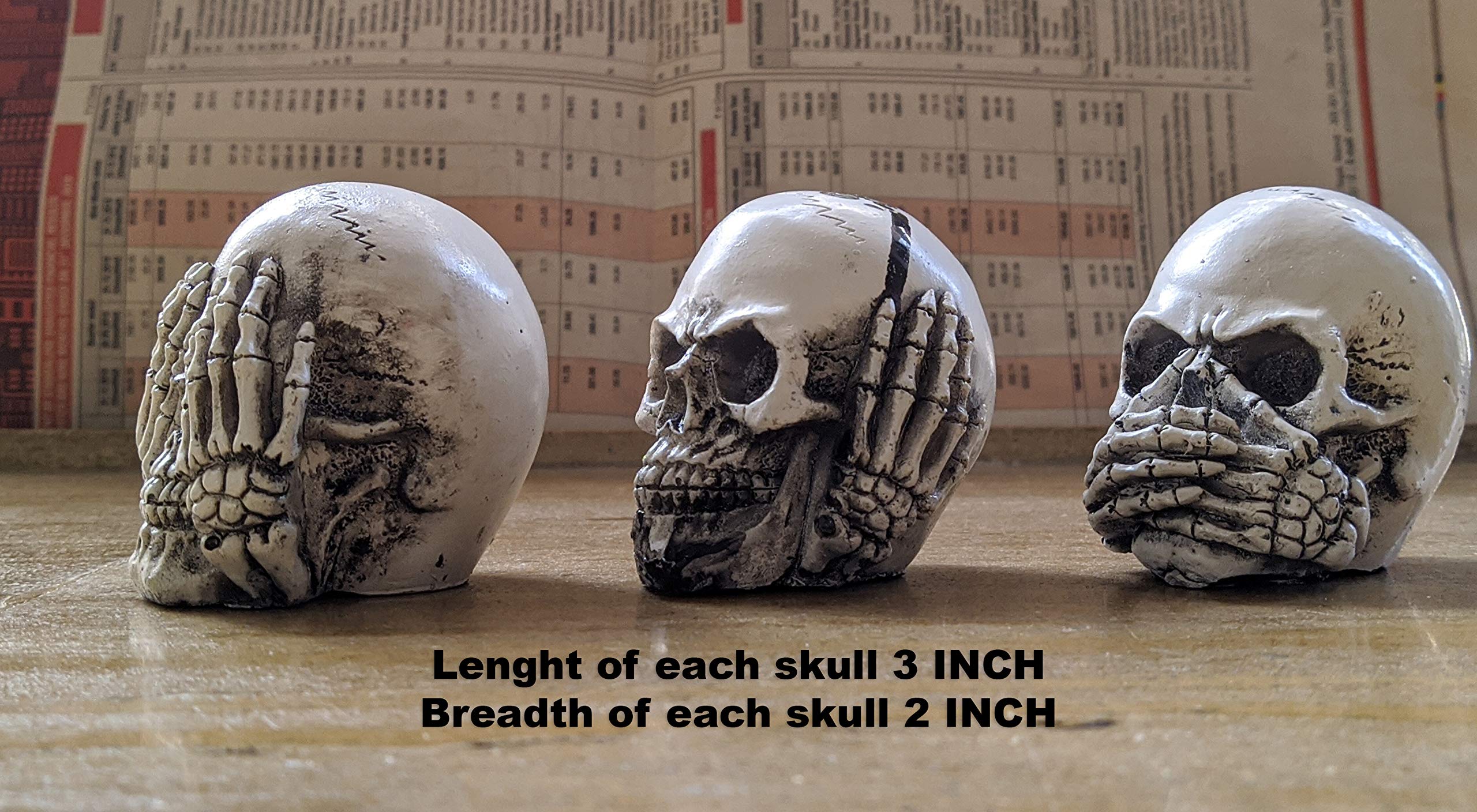 PARADIGM PICTURES Gandhi Three Monkey Skull Set- Gift Items for Men