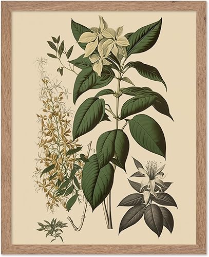 Miniatura 289 de Poster Master Póster vintage de orquídea, estampado de flores retro, arte de pared de plantas exóticas, arte botánico, regalo para hombres y