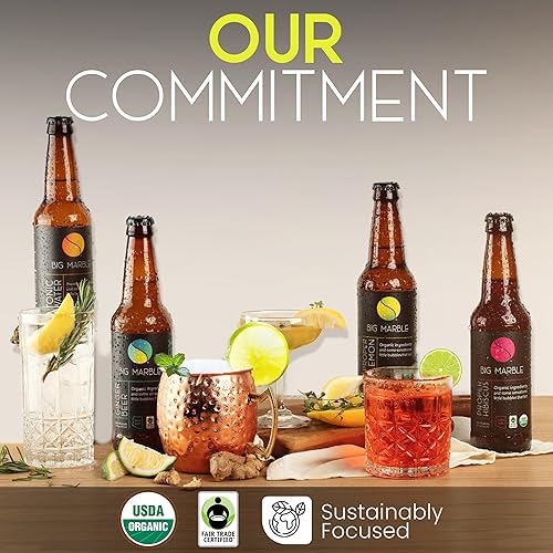 Miniatura 10 de Big Marble Cerveza de jengibre orgánica agradable y picante, 12 onzas líquidas (12 botellas de vidrio)