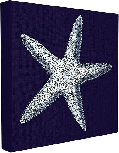 Stupell Home Décor - Lienzo decorativo con diseño de estrella de mar envejecida, color azul marino y blanco, 17 x 1.5 x 17 pulgadas, fabricado con