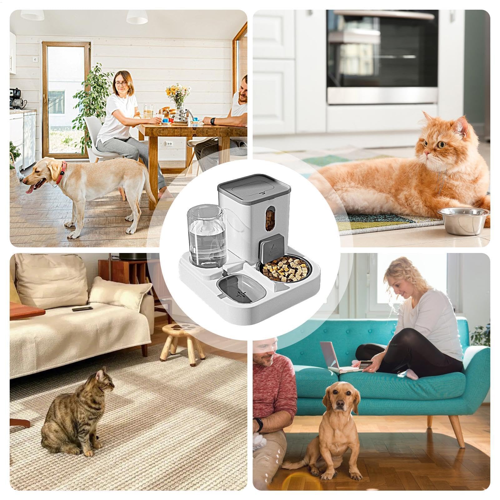 Contenitore for alimenti for cani(Gray)