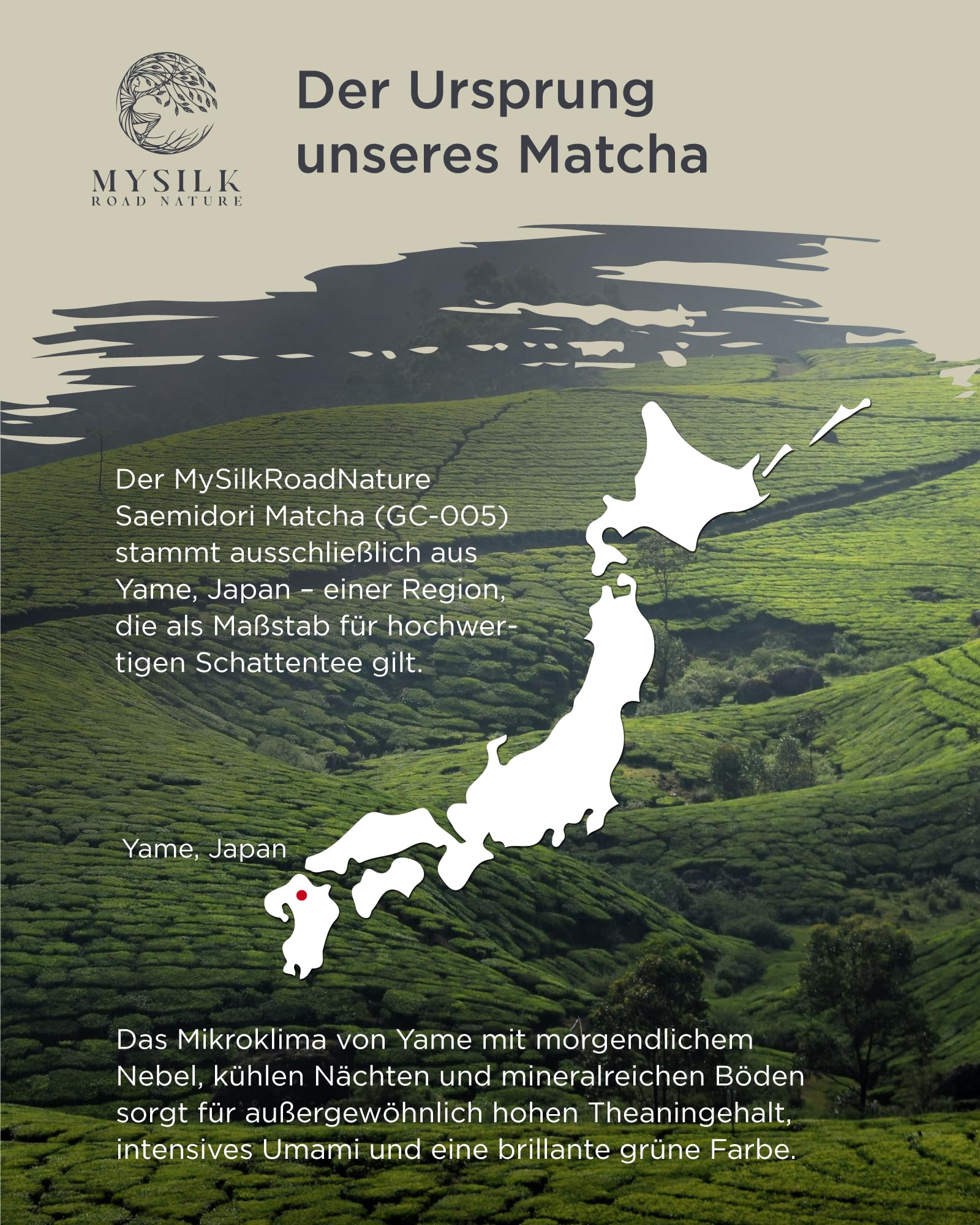 MySilkRoadNature Saemidori Matcha Pulver 90g aus Yame in Japan I Ceremonial Grade Single aus erster Ernte I Reines Matcha Tee Pulver für Matcha Latte & Tee Zeremonien