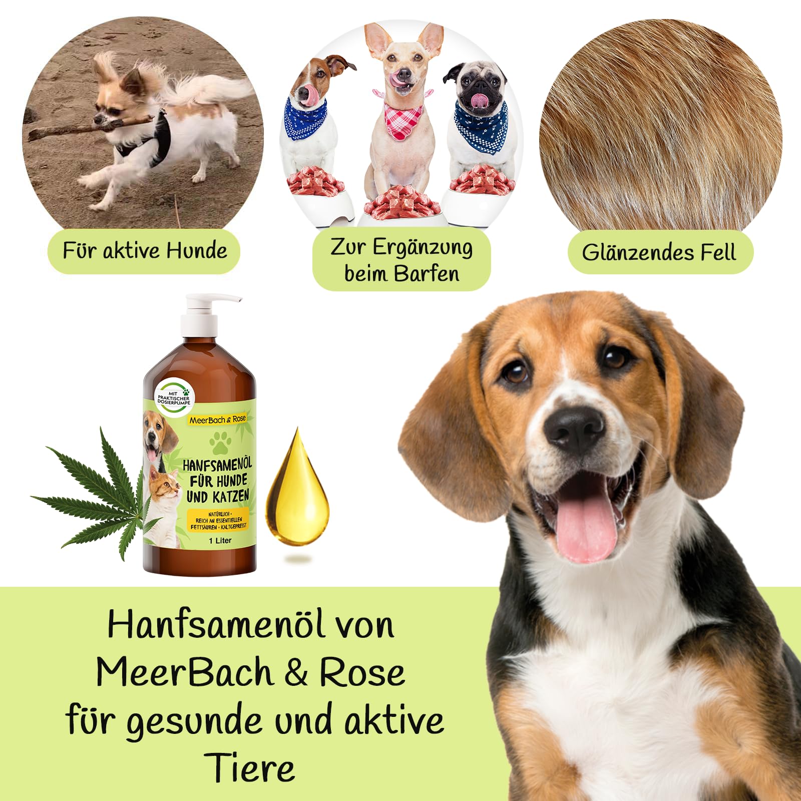 1 Liter Hanfsamenöl für Tiere, Hanfsamenöl für Hunde und Katzen, Barf Öl Hund, Fischöl für Hunde, Naturprodukt