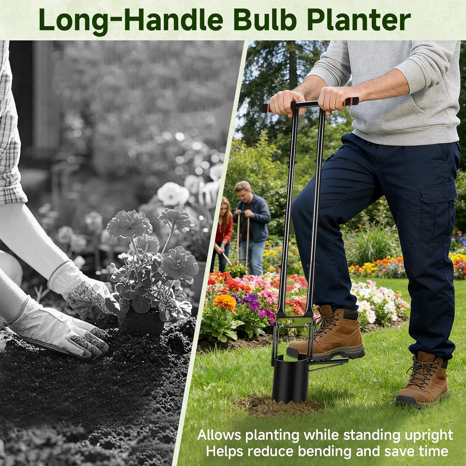 Bulb Planter Tool,2026 Upgraded Bulb Planter Tool Long Handle,Serrated Base Garden Tool with Double Pressure Frame for Digging Holes to Plant Tulips, Iris, Daffodils,Potato