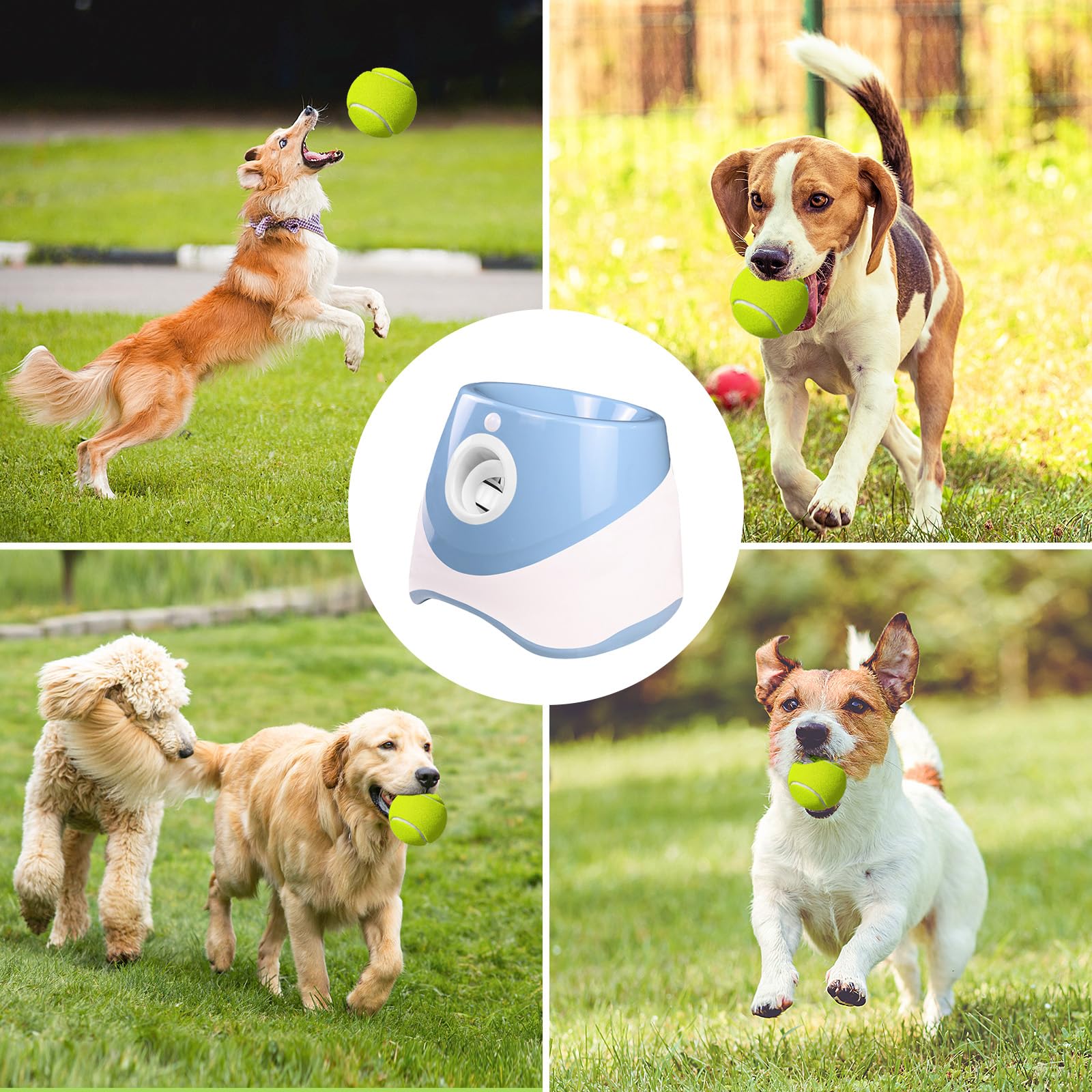 Lanzador de bolas para perros automático, lanza bola para perros con 6 bolas, distancia ajustable 3-9m, lanzador de bolas automático interactivo para perros, juguete de entrenamiento interior al aire