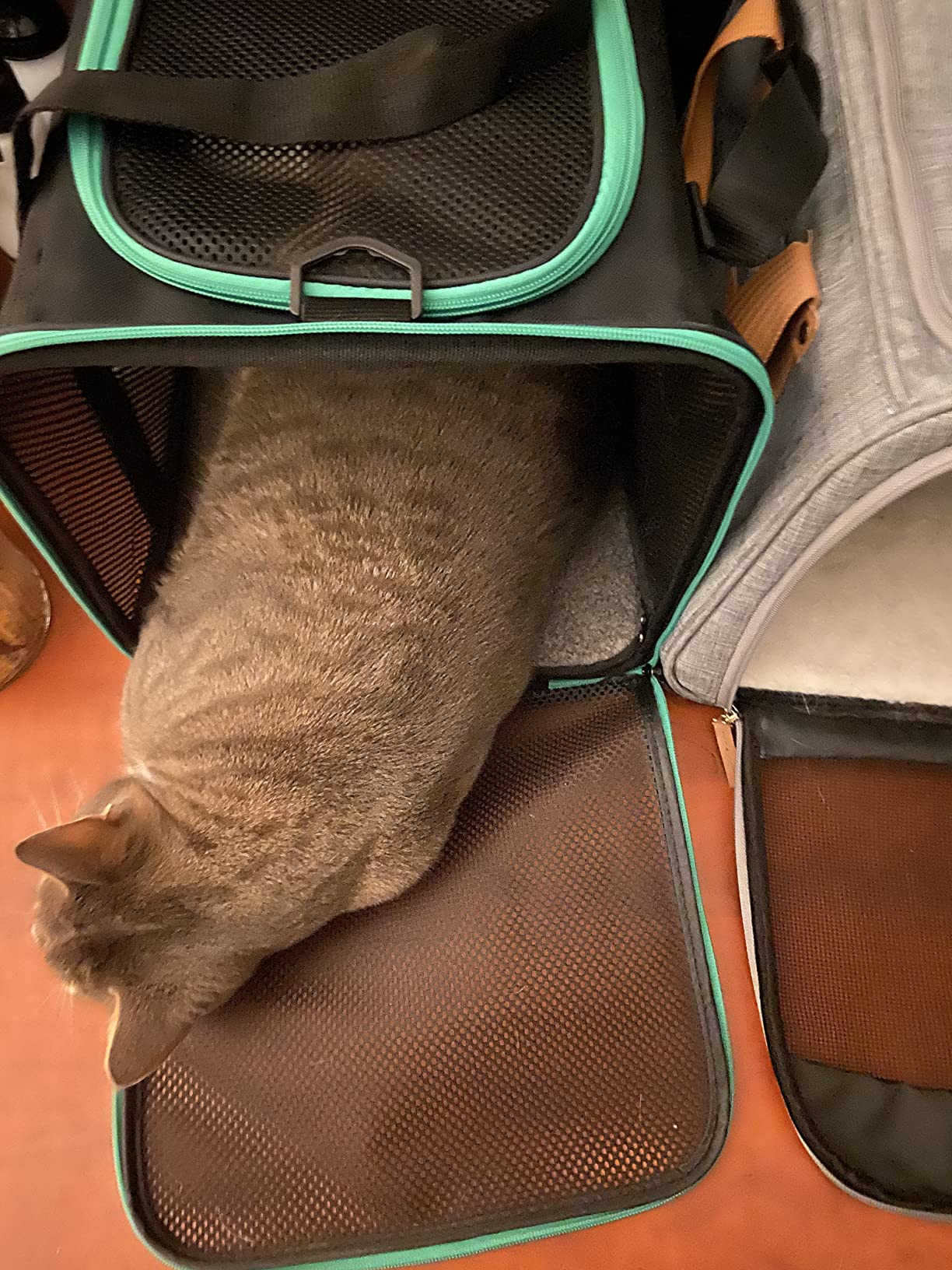 10/mo Finance petisfam Soft Cat Carrier Bag for Large Cats 20 lbs