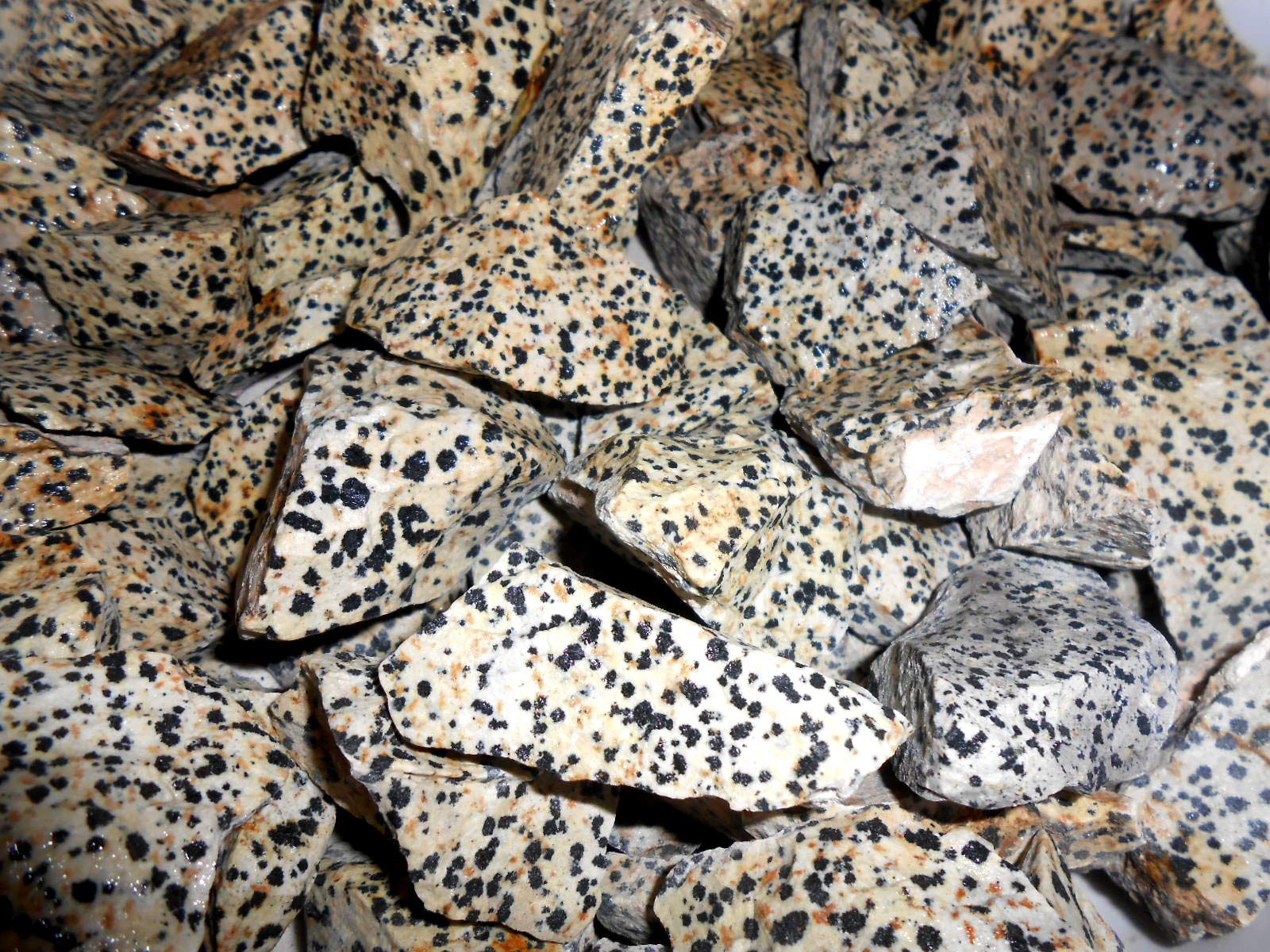 Rockhound's 1st Choice Rock Tumbler Gem Refill Kit -Mexico Dalmatian Jasper Rough- 8oz