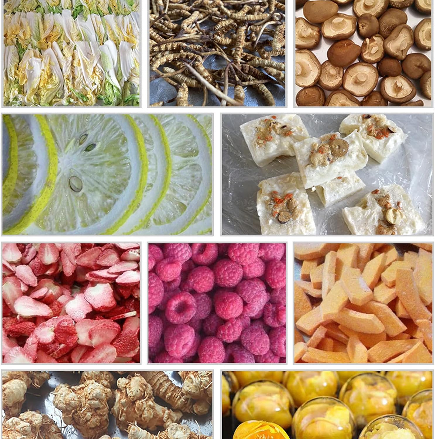 Scientific Vacuum Freeze Drying Equipment, Fruit and Vegetable Vacuum Dryer with Four Trays, Laboratory Sublimation Freeze Dryer, 0.4㎡ Dried Area