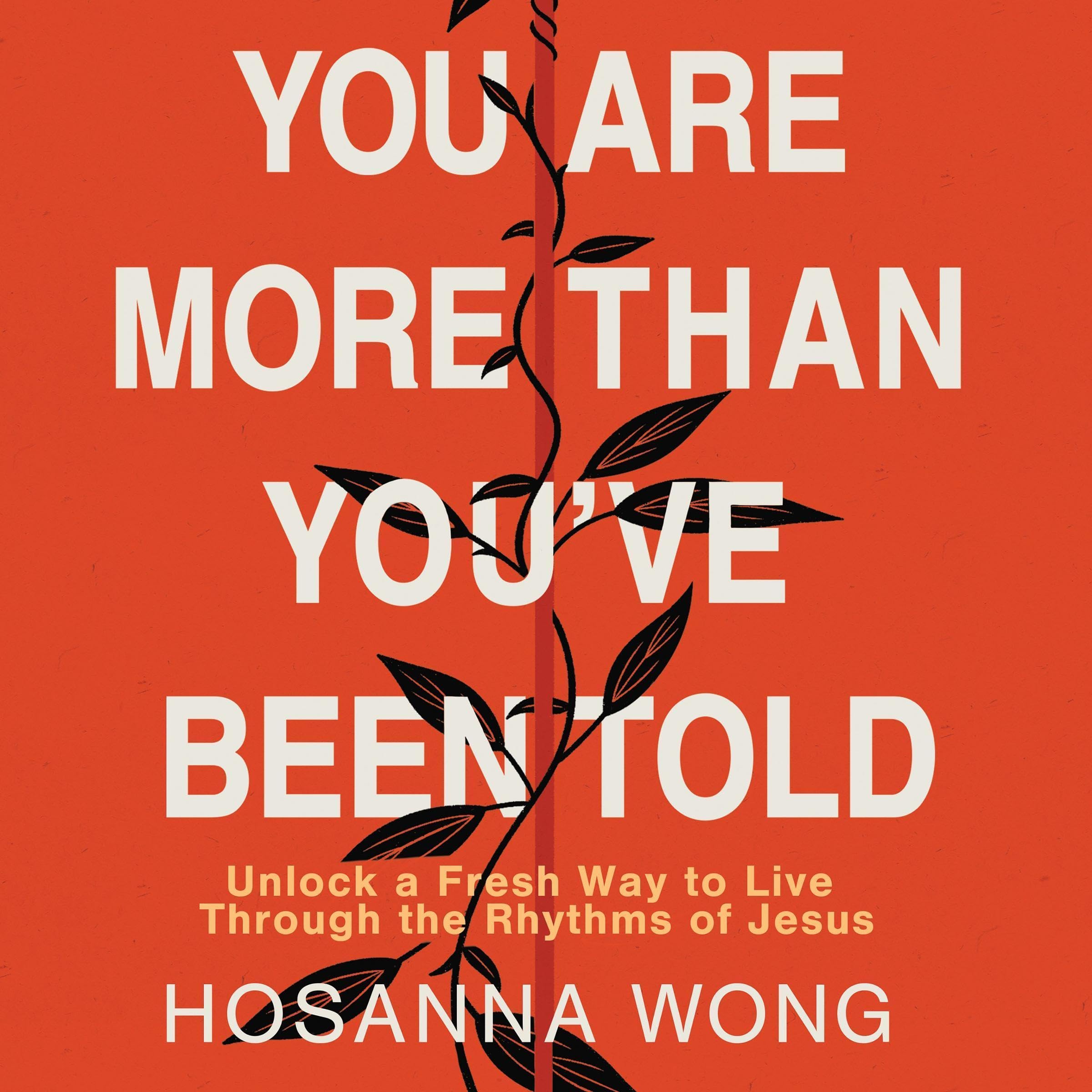 Cover art for You Are More Than You've Been Told