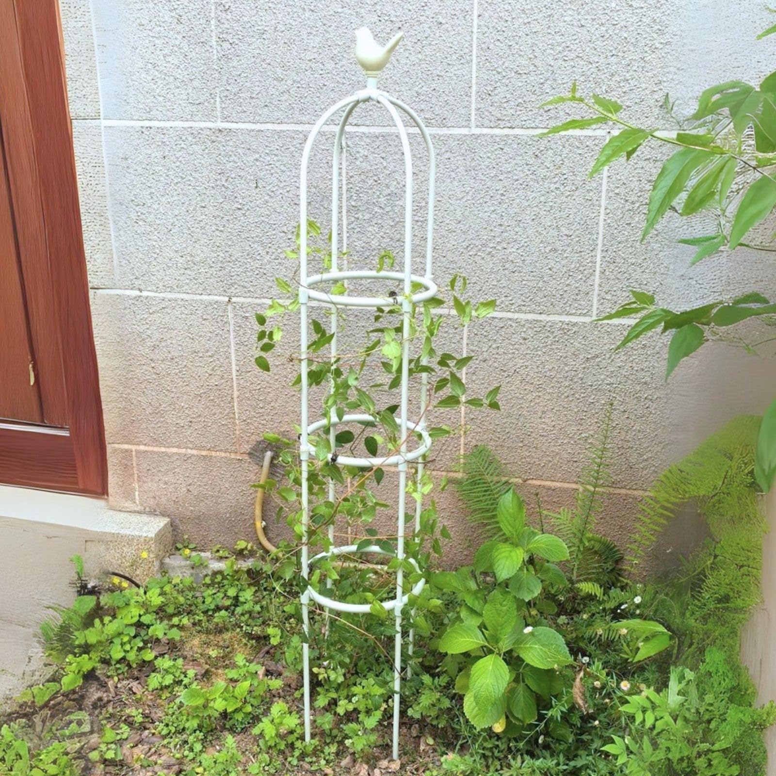 Genérico Enrejado de Pepino Soporte de Enrejado de Plantas para Verduras, 125 175 205cm Soporte de Plantas Jardinería de Jaula para Flores en Maceta, Vides Trepadoras(White,40 x 165cm/15.7 x 65in)