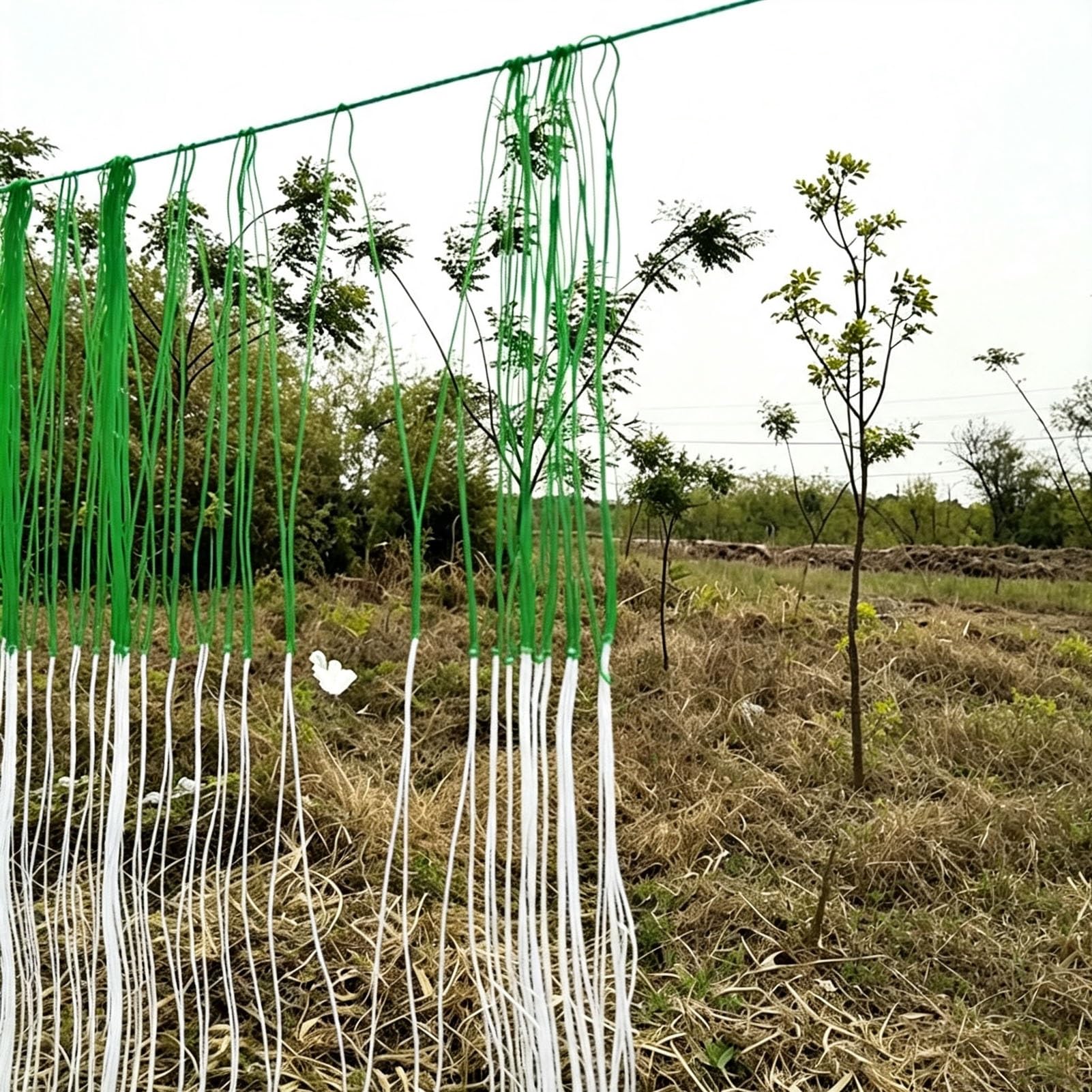 Malla Decorativa Jardín para Muro Vegetal, Malla para Uvas, HDPE