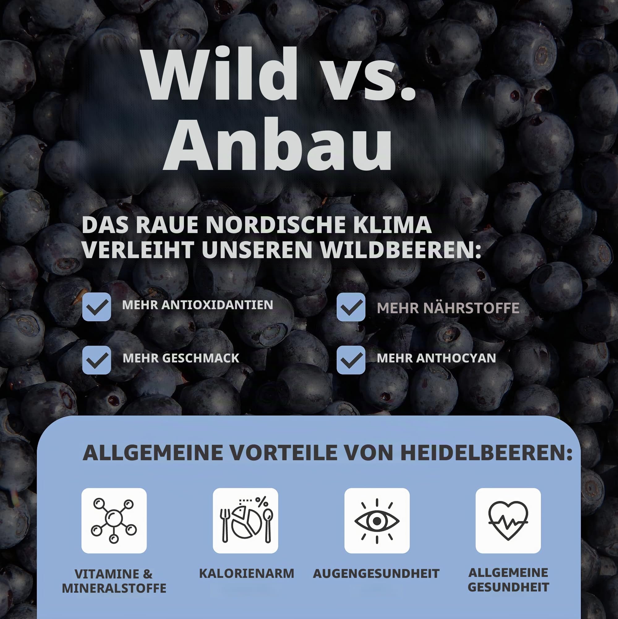 LOOV Bio-Wildheidelbeerpulver – 41-Tage-Vorrat, 250 g, ideal für Smoothies & Frühstück, gefriergetrocknet, aus Nordeuropa, ohne Zuckerzusatz