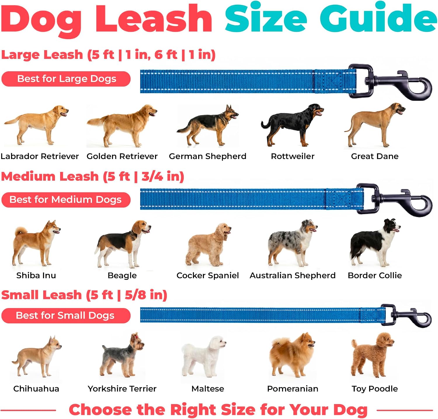 Best Pet Supplies Voyager Nylon Dog Leash - 6ft Royal Blue, Large | 6ft in Length, 1" in Width, Reflective, Soft Neoprene Handle, Heavy Duty Metal Clips for Running, Walking & Training
