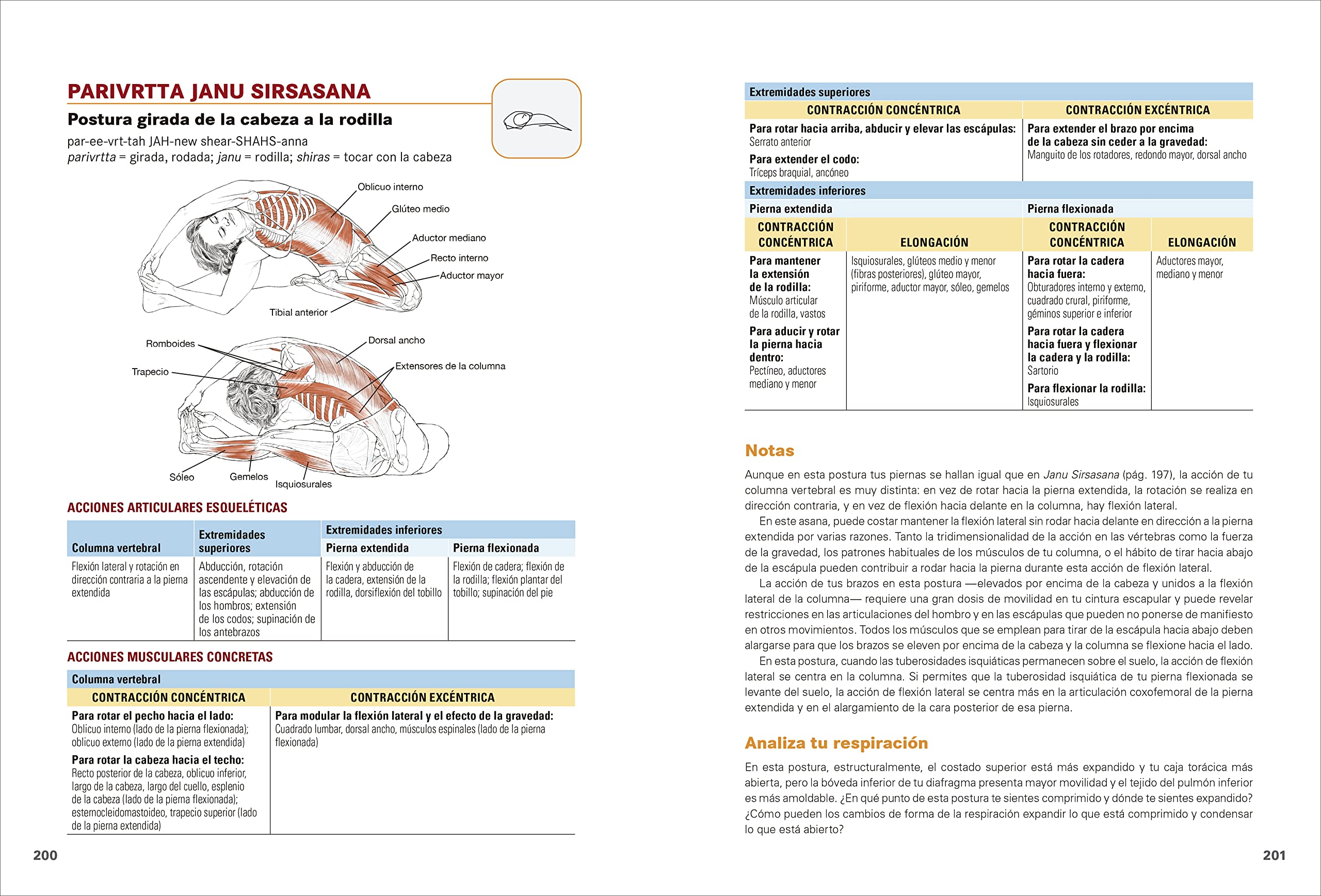 Anatomía del yoga. Tercera edición ampliada y actualizada: Guía ilustrada de las posturas, los movimientos y las técnicas respiratorias