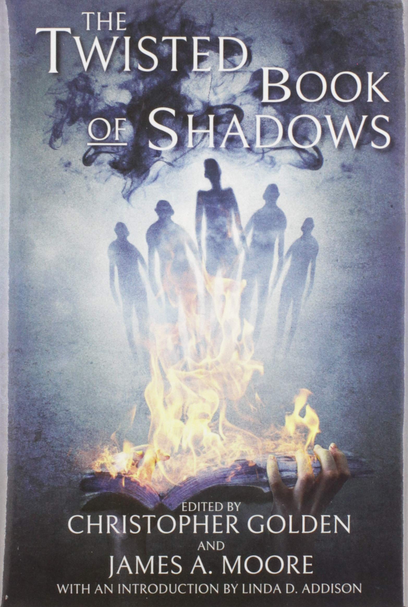 Buy The Twisted Book of Shadows — BookShops.in