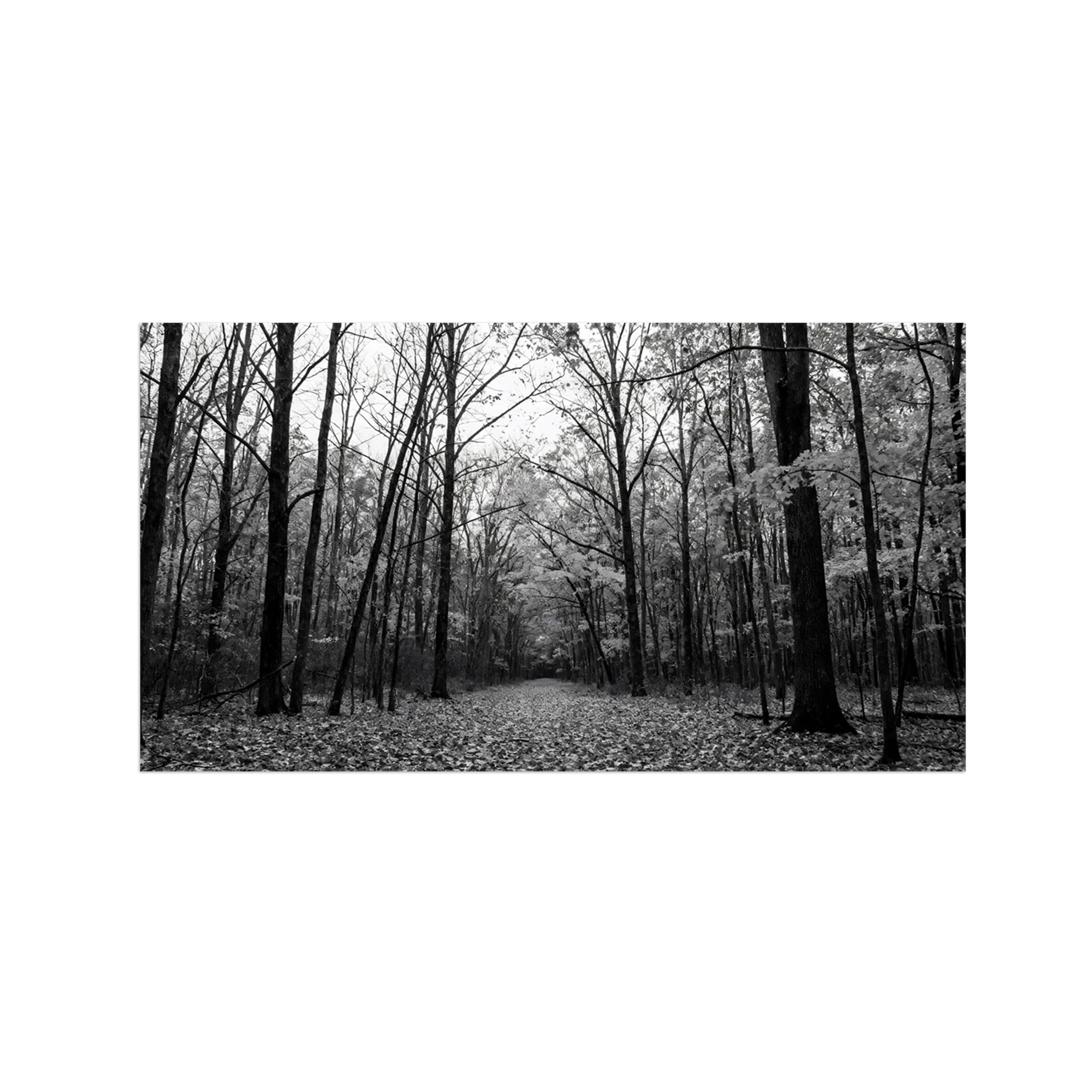 Forest Flowers Black White Landscape Wall Art Prints 70x125cm Unframed