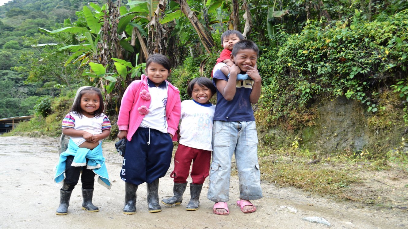 GREEN MAYA Saint Peters Association Arabica Coffee Beans 100% Certified Organic Colombia Single Origin Coffee Espresso