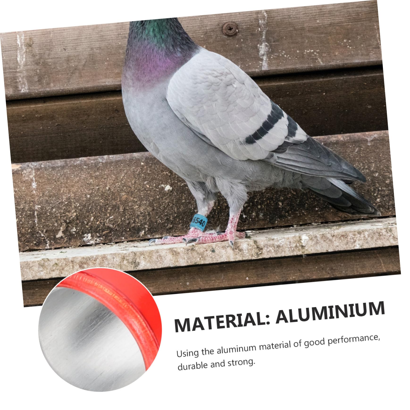 BESPORTBLE 300pezzi Anelli Identificativi per Piccioni Alluminio Colorati per Addestramento e Monitoraggio Volatili Resistente e Riutilizzabile
