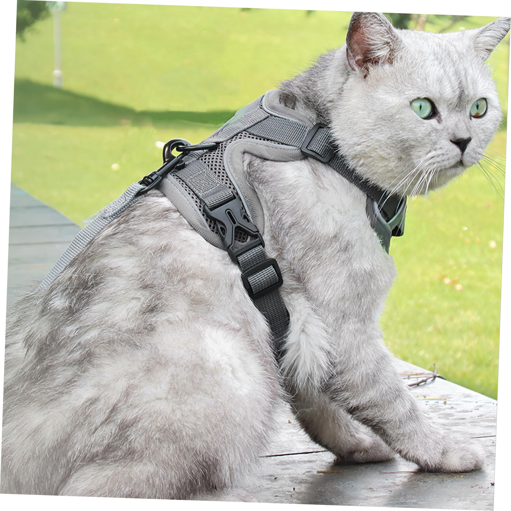 INOOMP 5piezas Arnés De Pecho Reflectante y Transpirable para Perros y Gatos Arnés Correa para Paseos Al Aire
