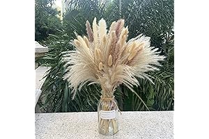Pampas Grass Decor 110 Pcs: Premium Dried Pampas Grass Bulk Bundle for Boho Decor
