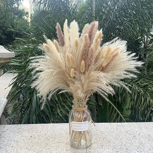 Miniatura 7 de Hierba de las Pampas Boho Decoración para el Hogar, 150 piezas de 17 pulgadas de flores secas naturales, hierba de pampa contiene colas de conejo,