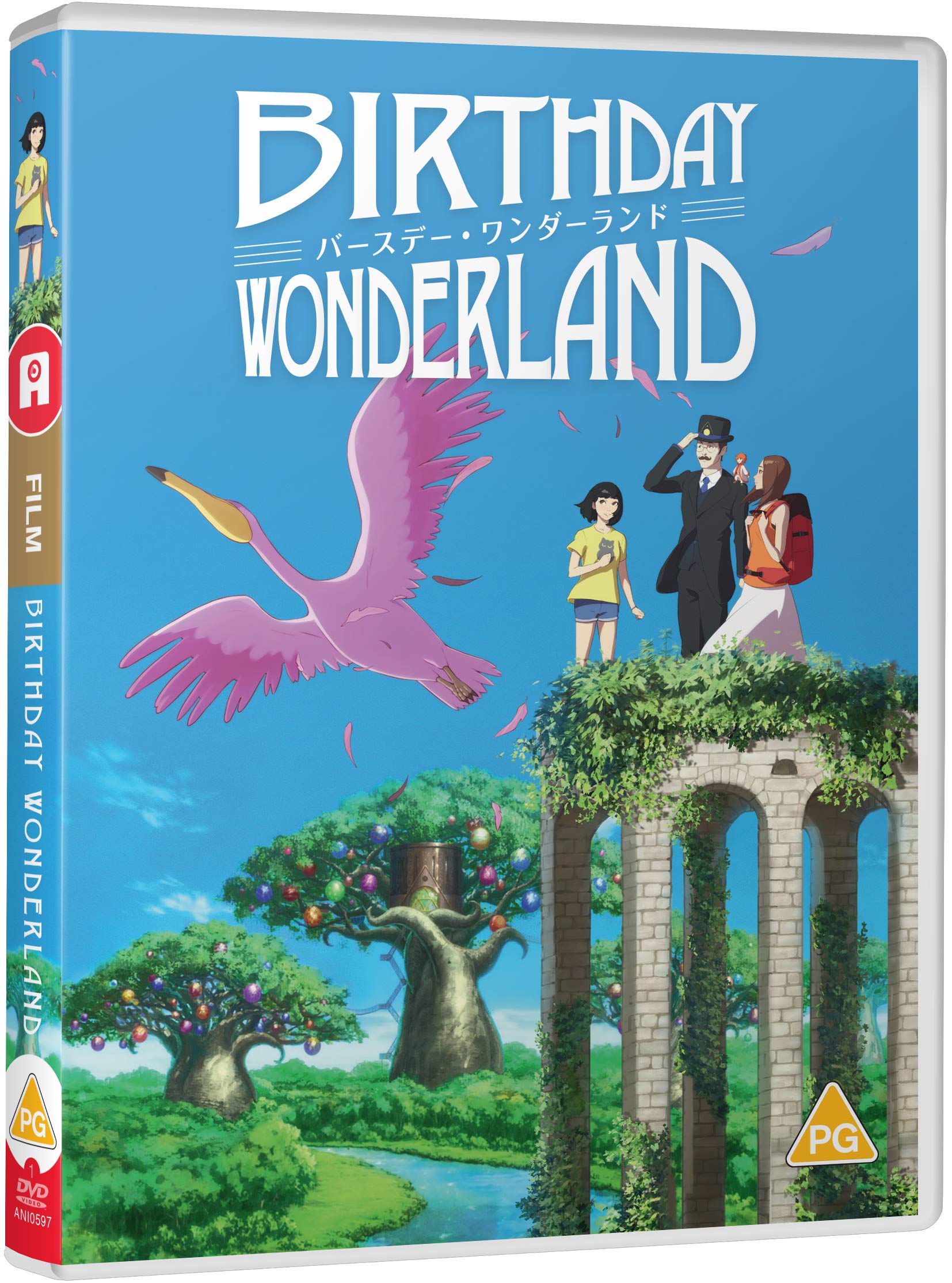 Birthday Wonderland - Standard Edition [DVD] [Reino Unido]