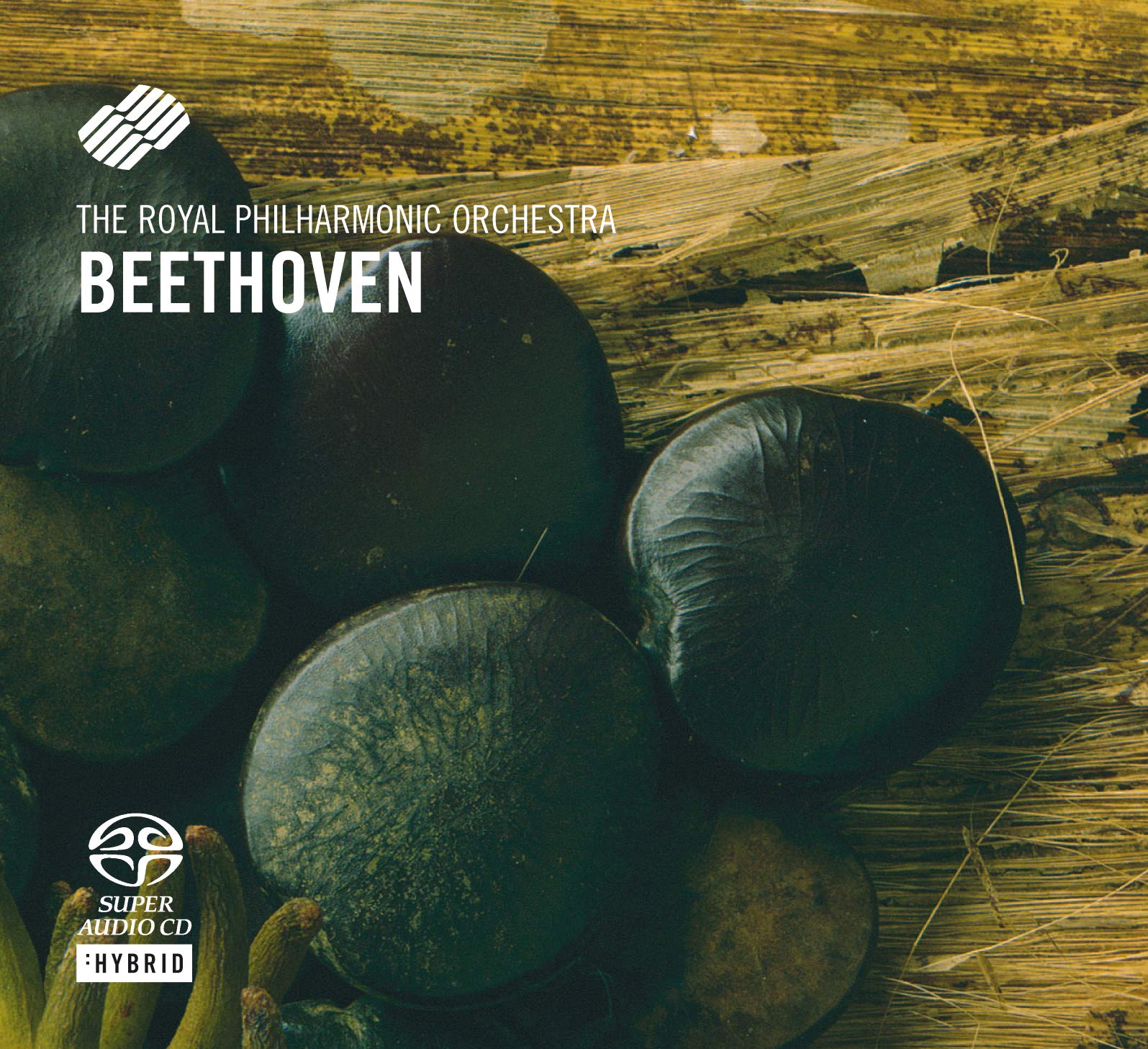 Beethoven: Klavierkonzerte 15: RPO; ROLL; SHELLEY: Amazon.ca: Music