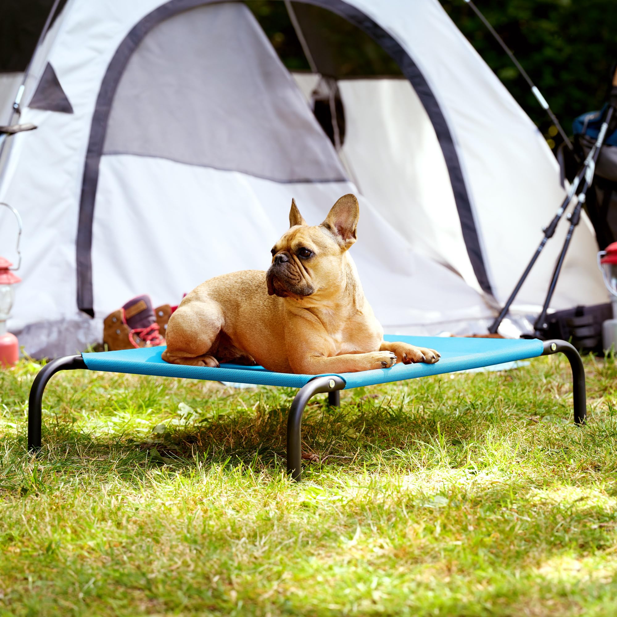 FurHaven Elevated Pet Cots - Cooling & Breathable Nylon Mesh Hammock for Small Dogs & Cats/Easy-to-Assemble / / Durable and Reinforced/Perfect for Rest & Relaxation Outdoors - Capri Blue, Small